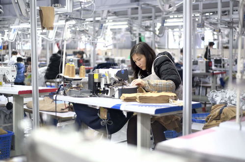 服裝輔料制造業沖刺開門紅，企業生產忙助力經濟穩增長